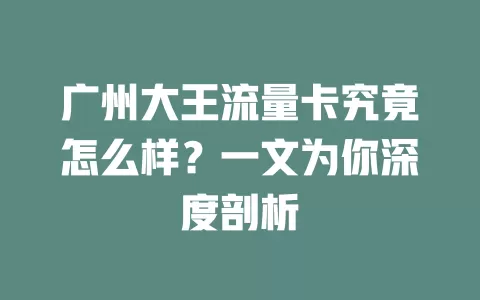 广州大王流量卡究竟怎么样？一文为你深度剖析