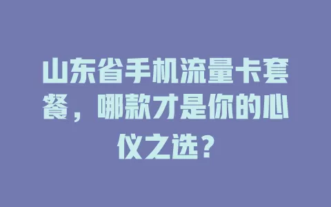 山东省手机流量卡套餐，哪款才是你的心仪之选？