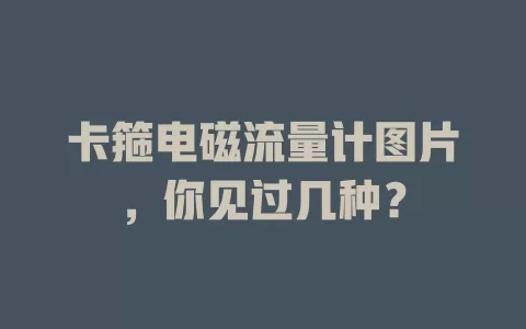 卡箍电磁流量计图片，你见过几种？