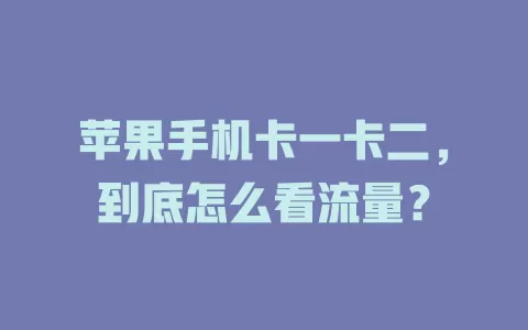 苹果手机卡一卡二，到底怎么看流量？