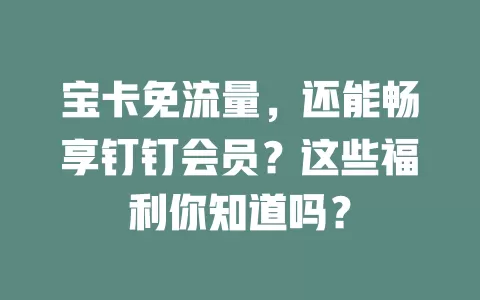宝卡免流量，还能畅享钉钉会员？这些福利你知道吗？