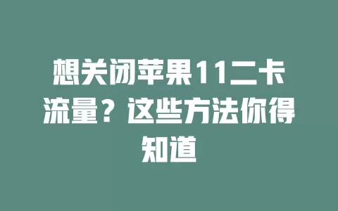 想关闭苹果11二卡流量？这些方法你得知道