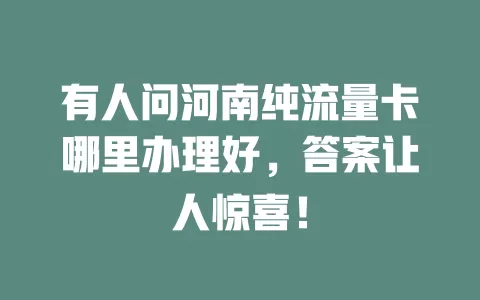 有人问河南纯流量卡哪里办理好，答案让人惊喜！