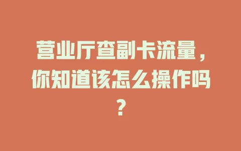 营业厅查副卡流量，你知道该怎么操作吗？