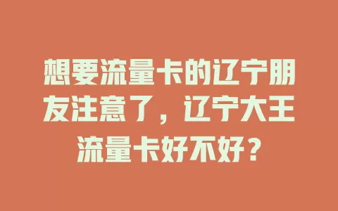 想要流量卡的辽宁朋友注意了，辽宁大王流量卡好不好？