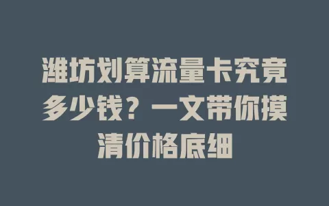 潍坊划算流量卡究竟多少钱？一文带你摸清价格底细