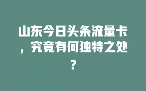 山东今日头条流量卡，究竟有何独特之处？