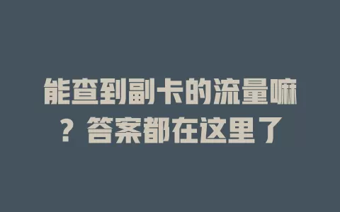 能查到副卡的流量嘛？答案都在这里了