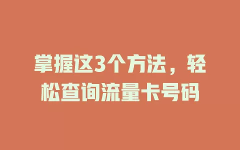 掌握这3个方法，轻松查询流量卡号码