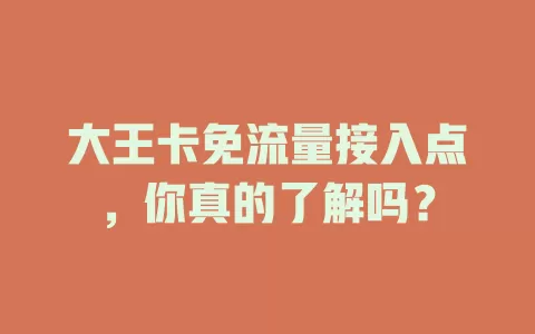 大王卡免流量接入点，你真的了解吗？