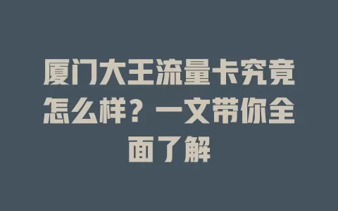 厦门大王流量卡究竟怎么样？一文带你全面了解