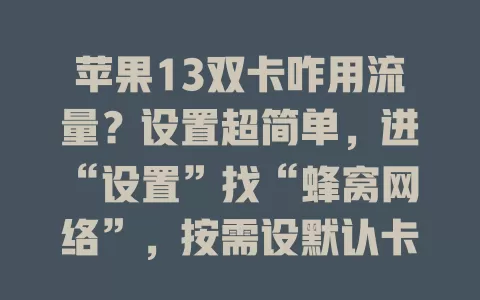 苹果13双卡咋用流量？设置超简单，进“设置”找“蜂窝网络”，按需设默认卡，切换轻点开关，快去试试让流量使用更随心