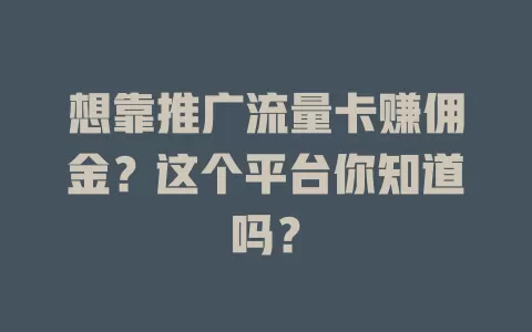 想靠推广流量卡赚佣金？这个平台你知道吗？
