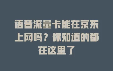语音流量卡能在京东上网吗？你知道的都在这里了
