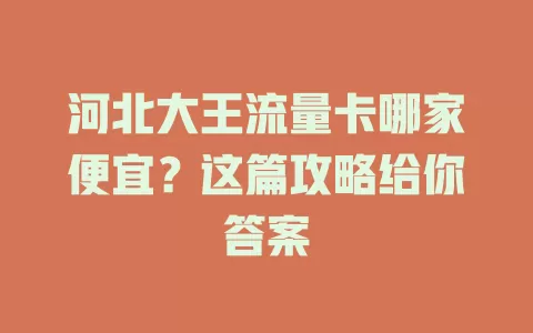 河北大王流量卡哪家便宜？这篇攻略给你答案