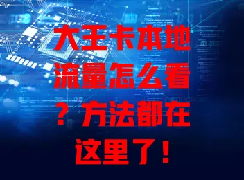 大王卡本地流量怎么看？方法都在这里了！