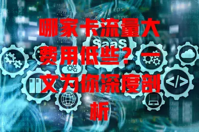 哪家卡流量大费用低些？一文为你深度剖析