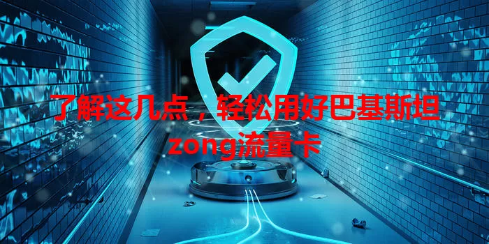 了解这几点，轻松用好巴基斯坦zong流量卡