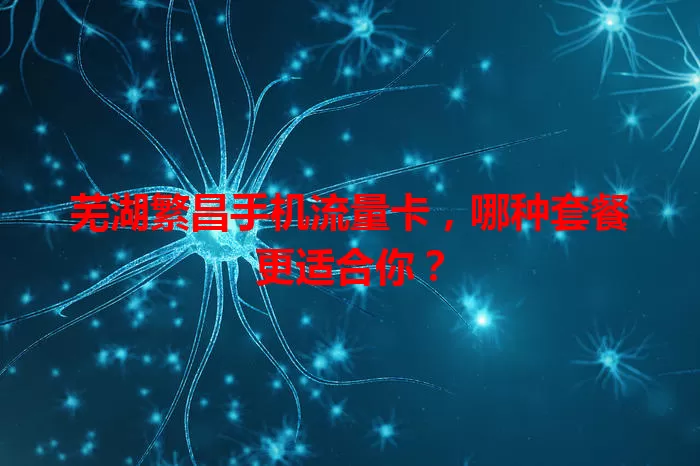 芜湖繁昌手机流量卡，哪种套餐更适合你？