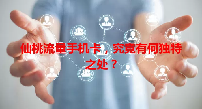 仙桃流量手机卡，究竟有何独特之处？