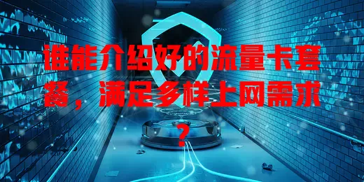 谁能介绍好的流量卡套餐，满足多样上网需求？