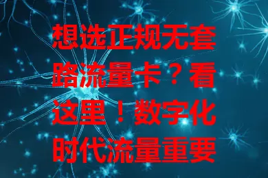 想选正规无套路流量卡？看这里！数字化时代流量重要，流量卡受青睐，但市场卡种杂。教你啥是正规无套路卡，选它的好处，及辨别方法，选卡要谨慎，确保畅享便利