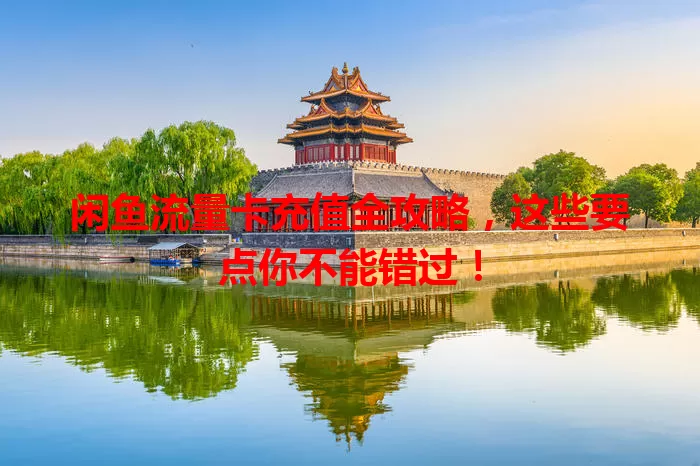 闲鱼流量卡充值全攻略，这些要点你不能错过！