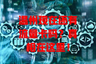 温州现在还有流量卡吗？真相在这里！
