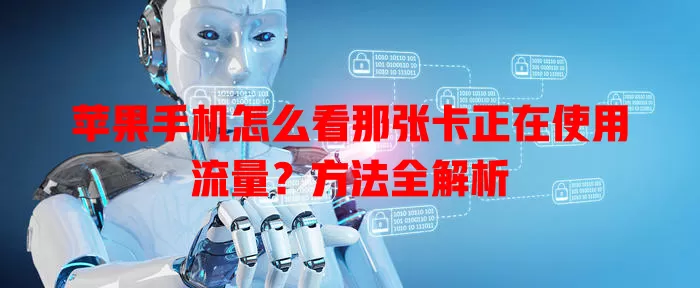 苹果手机怎么看那张卡正在使用流量？方法全解析