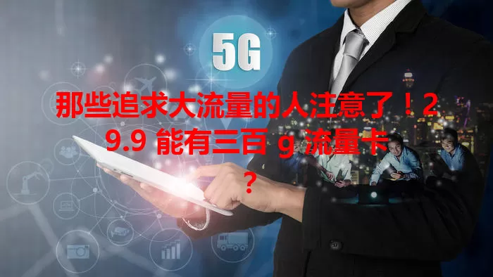 那些追求大流量的人注意了！29.9 能有三百 g 流量卡？