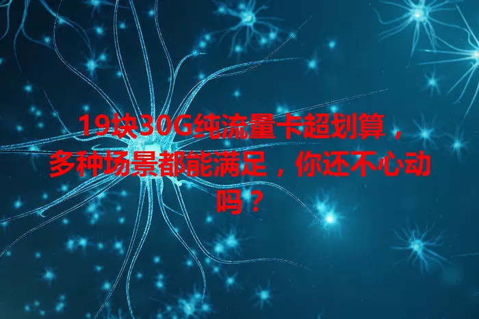 19块30G纯流量卡超划算，多种场景都能满足，你还不心动吗？