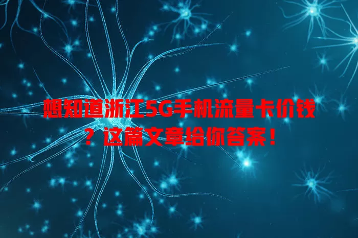 想知道浙江5G手机流量卡价钱？这篇文章给你答案！