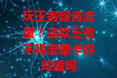 玩王者超省流量？这款王者不耗流量卡你知道吗