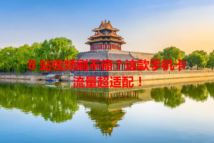 B 站视频刷不停？这款手机卡流量超适配！