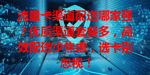 流量卡渠道配送哪家强？优质渠道套餐多，高效配送少焦虑，选卡别忽视！