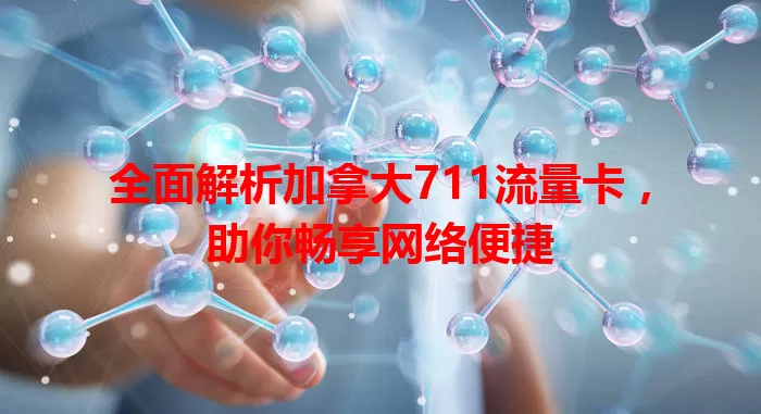 全面解析加拿大711流量卡，助你畅享网络便捷