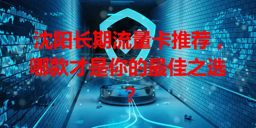 沈阳长期流量卡推荐，哪款才是你的最佳之选？