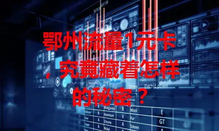 鄂州流量1元卡，究竟藏着怎样的秘密？