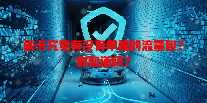 副卡究竟有没有单独的流量包？你知道吗？