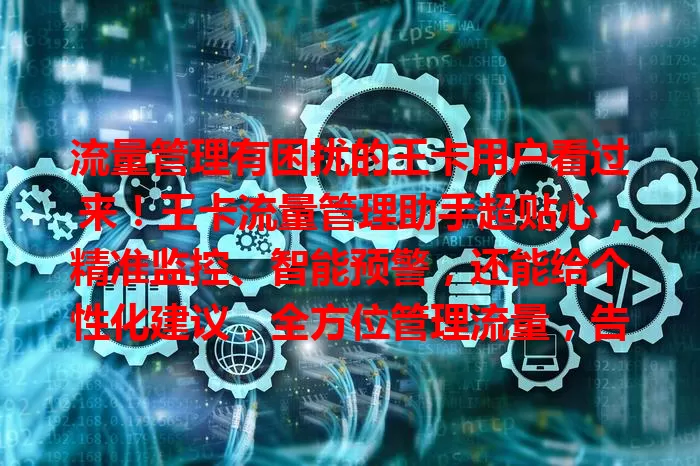 流量管理有困扰的王卡用户看过来！王卡流量管理助手超贴心，精准监控、智能预警，还能给个性化建议，全方位管理流量，告别流量烦恼
