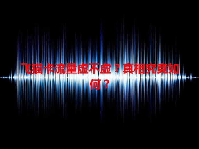 飞猫卡流量虚不虚？真相究竟如何？