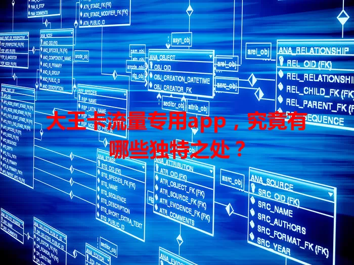 大王卡流量专用app，究竟有哪些独特之处？