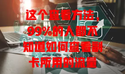 这个查看方法，99%的人都不知道如何查看副卡所用的流量