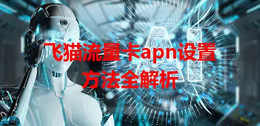 飞猫流量卡apn设置方法全解析