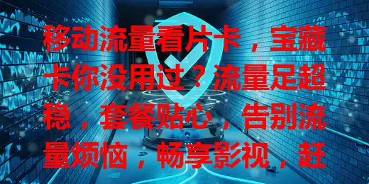 移动流量看片卡，宝藏卡你没用过？流量足超稳，套餐贴心，告别流量烦恼，畅享影视，赶紧试试！
