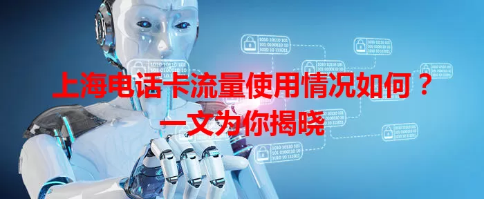 上海电话卡流量使用情况如何？一文为你揭晓
