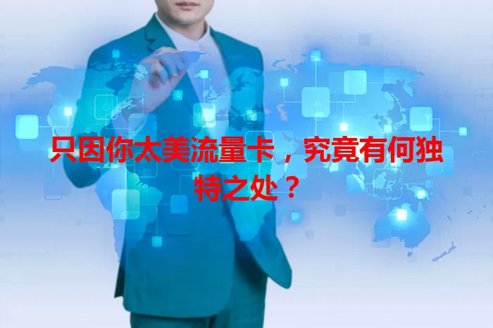 只因你太美流量卡，究竟有何独特之处？