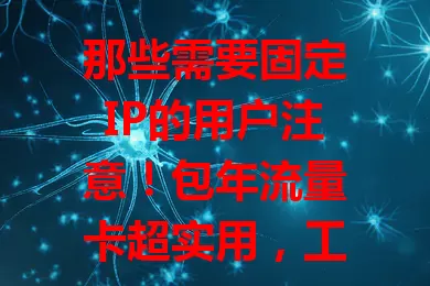 那些需要固定IP的用户注意！包年流量卡超实用，工作生活皆得力，网络稳定又安全，流量规划超省心