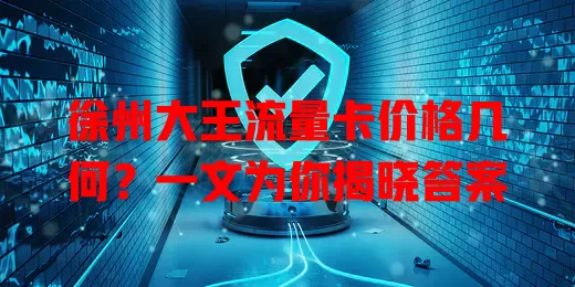 徐州大王流量卡价格几何？一文为你揭晓答案