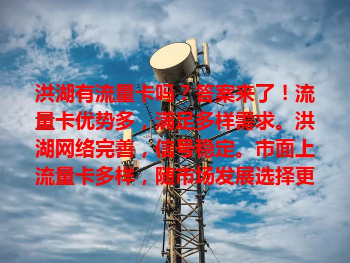 洪湖有流量卡吗？答案来了！流量卡优势多，满足多样需求。洪湖网络完善，信号稳定。市面上流量卡多样，随市场发展选择更丰富，助力洪湖居民畅享网络生活！